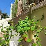 Charming Cozy Retreat - Terrace & Private Balcony Отель типа 