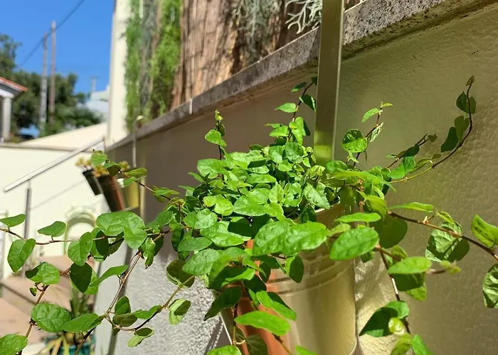 Charming Cozy Retreat - Terrace & Private Balcony Oda ve Kahvaltı